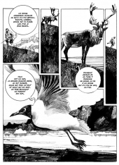 Planche de Un Dieu Mineur de Toppi