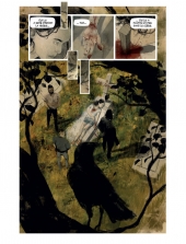 On l'appelait Carmilla - Planche  19