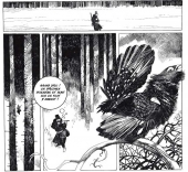 vignette de Ogoniok de Toppi