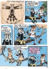 Renard et Blr - planche  6