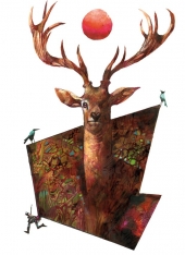 toppi-bestiaire-cerf